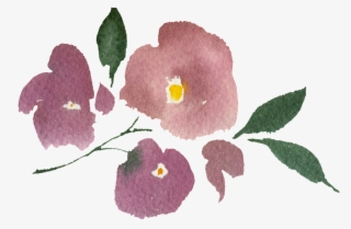 Hand Painted Three Watercolor Flowers Png Transparent - Rose #8039902