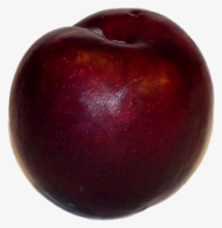 Plum Transparent Background - Plum Clip Art #8041795