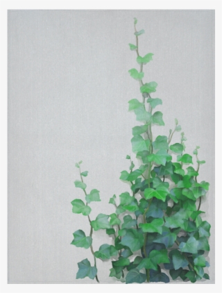 Creeper Plant Painting #8042529
