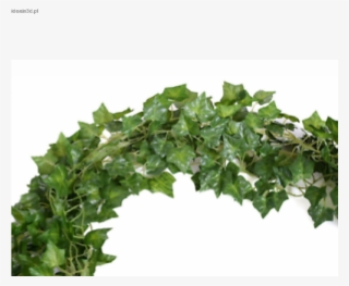 Oferta Specjalna 12 Big Value Artificial Hanging Plant - Wall #8042607