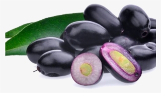 Jamun Fruit #8042673