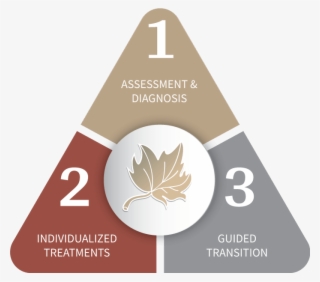 24 Hour Admissions - Infographic #8042876