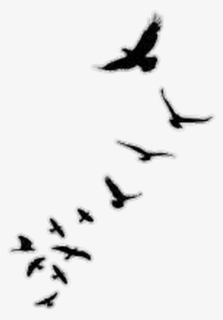 Stiker Sticker - Bird Silhouette In Flight #8043252 Stiker Sticker - Bird Silhouette In Flight #8043252