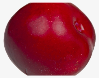 Seedless Fruit #8043462