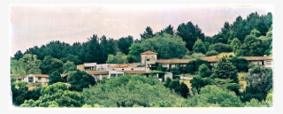 Mariano Quinteros - Posada De Los Pajaros Abandonada #8043929