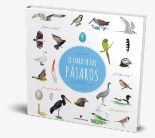 Vuela Al País De Las Aves - Ptáci Tordjman Natalie #8044392