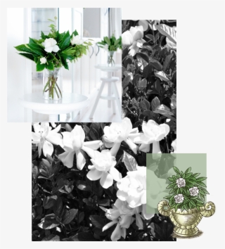 Explore Lush Gardenia - Bouquet #8044742