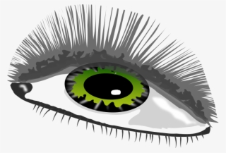 This Png File Is About Vector - Close-up #8044997