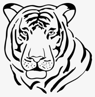 Tiger, Cat, Feral Cat, Animal, Vector, Predator, Fur - Outline Black And White Tiger Drawing #8045526