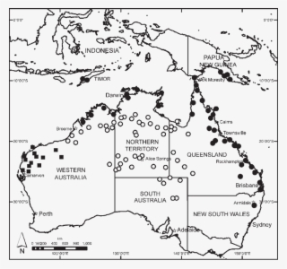 Distributions Of Cucumis Althaeoides - Indonesia #8046427