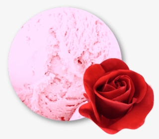 Sorbet Pètals De Rosa 4 Litres #8046586