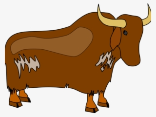 Bull #8047607 Bull #8047607