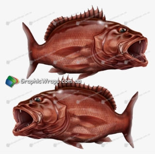 Mangrove-jack - Mangrove Jack Boat Wrap #8047732