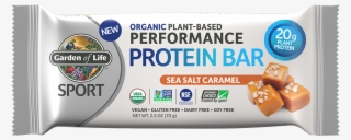 658010119085- - Garden Of Life Vegan Protein Bar #8047761