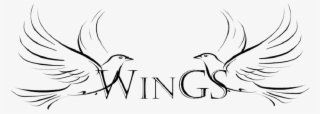 The Wings Women's Group Provides A Time For Sound Bible #8047810