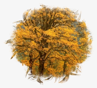 Ftestickers Sticker - Fall Backgrounds Nj #8048260