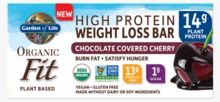 Garden Of Life, Raw Organic Fit High Protein Weight - Household Supply #8048875