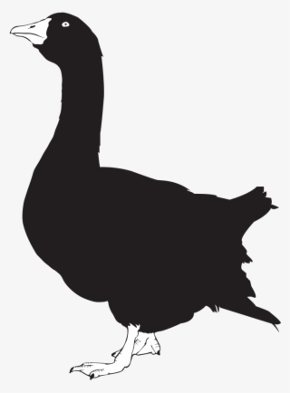 Goose Silhouette - Goose Silhouette Png #8049201