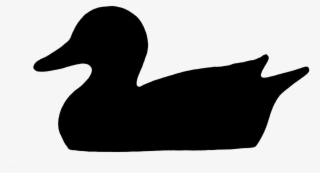 Duck Water Bird Silhouette - Duck #8049306