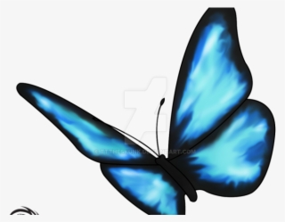 Life Is Strange Clipart Blue Butterfly Tattoo - Life Is Strange Butterfly Png #8049315