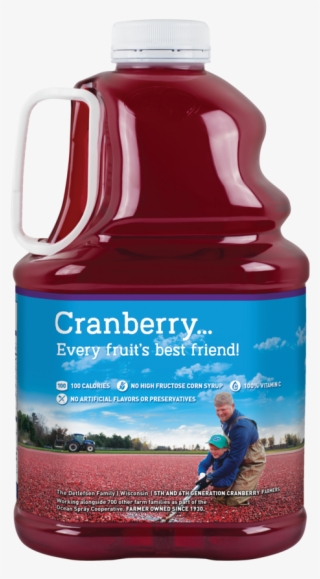 Ocean Spray Juice Drink, Cranberry Grape Juice, - Plastic Bottle #8053076
