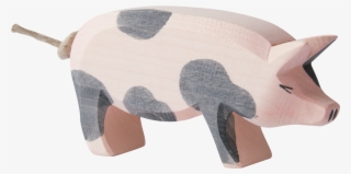 Domestic Pig #8056151