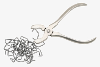 Previous - Next - Nipper #8056247