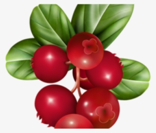Cranberry Relish Clipart Holly Berry - Transparent Cranberries Clip Art #8057716