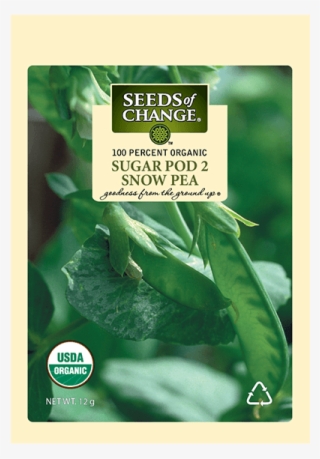 Organic Sugar Pod 2 Snow Pea Seeds - Usda Organic #8058401