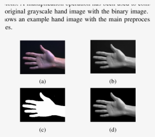 The Original Image, (b) The Grayscale Image, (c - Binary Image Vs Grayscale #8060214