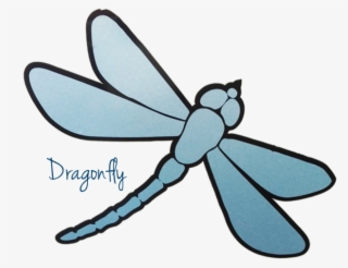 Promote Your Unique Image On The Water Do It Yourself - Dragonfly #8060845