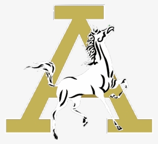 Andrews High School - Andrews Middle School Tx #8063720