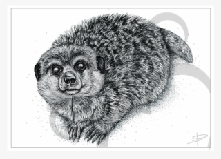 Meerkat Inkling - Kinkajou #8065266