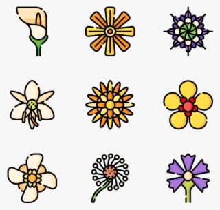 Flowers #8065627