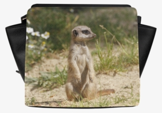 Rose Satchel Bag #8065752