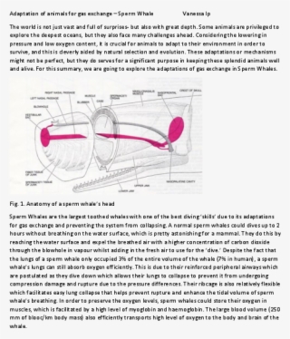 Docx - Document #8066634