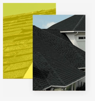 Roofing Problems - Roof #8067935
