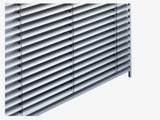 Window Blind #8068706