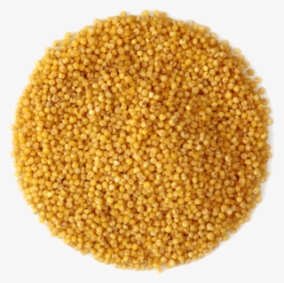 Small Pile Of Grain - Rapeseed #8068781