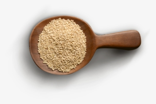 Protein Provides The Building Blocks For Bone, Muscle, - Pulse #8068892