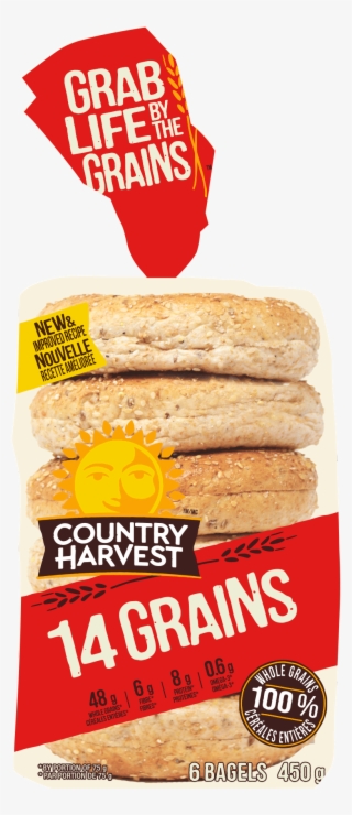 14 Grains Bagel Image - Bread #8068970