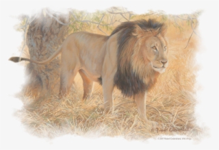 Wildlife Shumba In The Grass Men's Regular Fit T-shirt - Lion Original #8071405