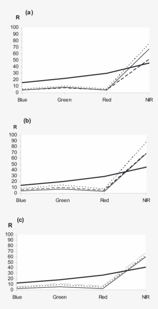 Mean Reflectance Percentage Of Wild Oat , Canary Grass - Diagram #8071612