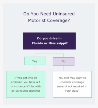 Do You Need Uninsured Motorist Coverage - Human Action #8071702