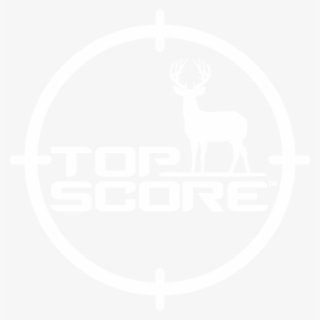 From Filling Your Tag, To Use As A Supplement, This - Elk #8072275