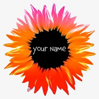 Pink-orange Flower Banner - Black-eyed Susan #8072926