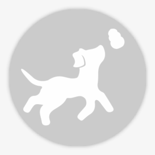 Kong Company - Ancient Dog Breeds #8073104