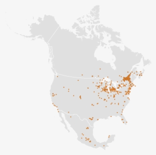 International Monarch Monitoring Blitz - North America States And Provinces #8074494