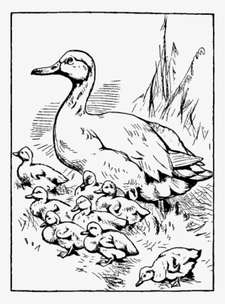 640 X 866 9 - Make Way For Ducklings Mother #8075185