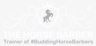 Explore - El Patron #8075573